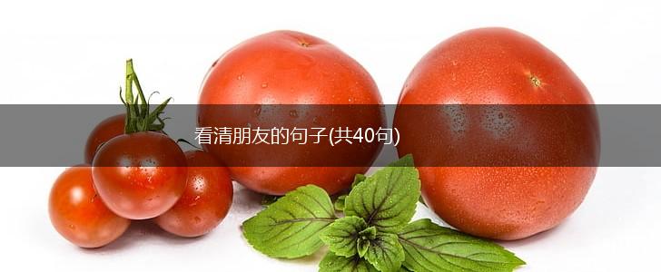 看清朋友的句子(共40句),第1张