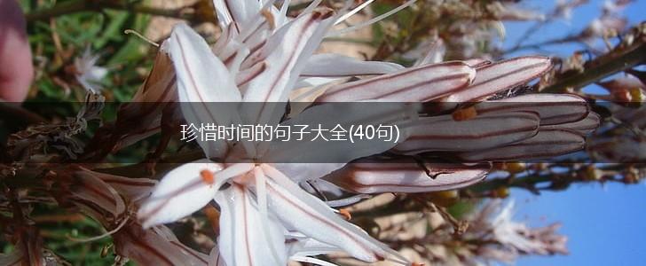 珍惜时间的句子大全(40句),第1张