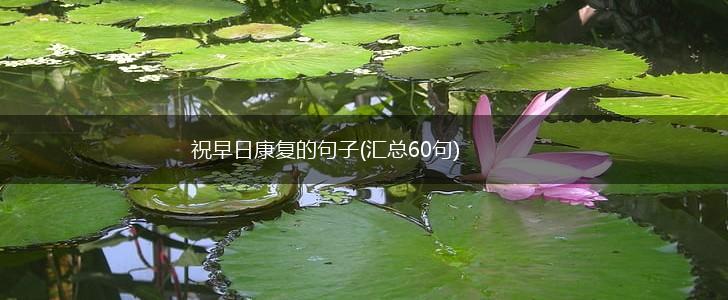 祝早日康复的句子(汇总60句),第1张