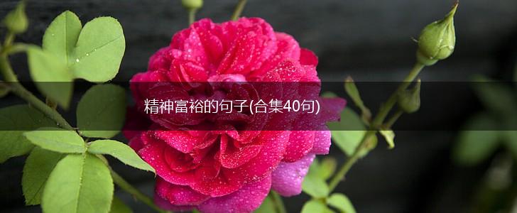 精神富裕的句子(合集40句),第1张