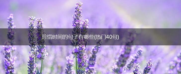 珍惜时间的句子有哪些(热门40句),第1张