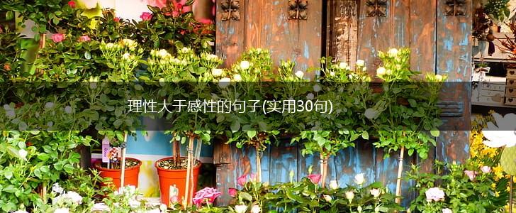 理性大于感性的句子(实用30句),第1张