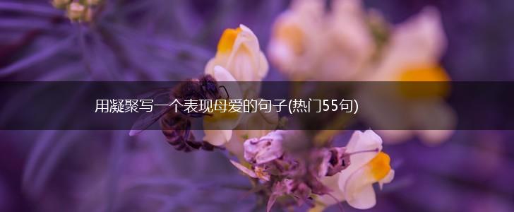 用凝聚写一个表现母爱的句子(热门55句),第1张