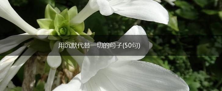 用沉默代替一切的句子(50句),第1张