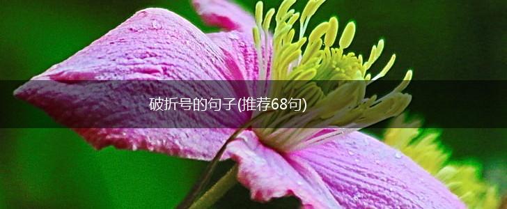 破折号的句子(推荐68句),第1张