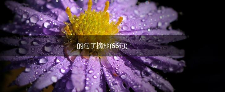 的句子摘抄(66句),第1张