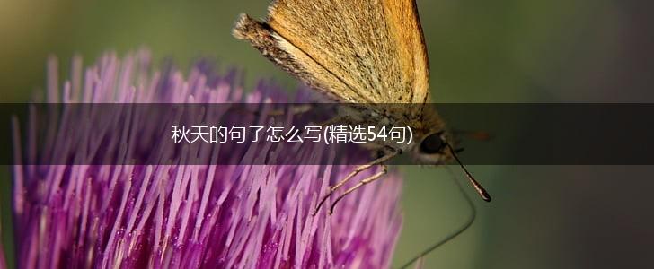 秋天的句子怎么写(精选54句),第1张