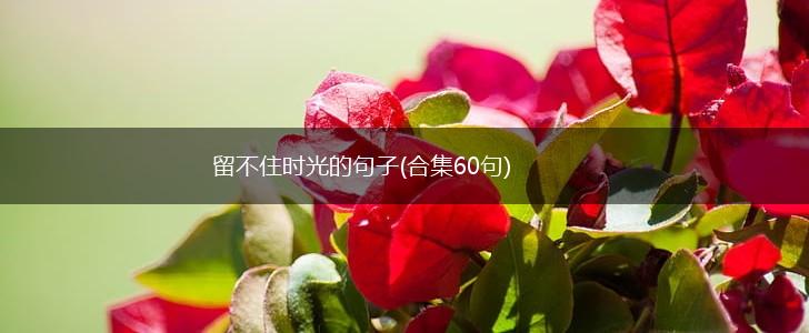 留不住时光的句子(合集60句),第1张