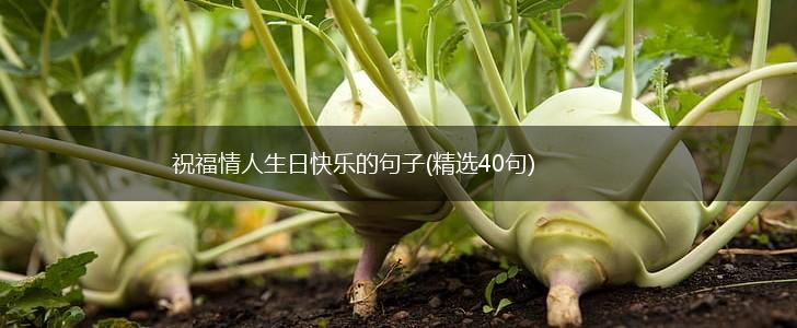 祝福情人生日快乐的句子(精选40句),第1张