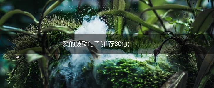 爱的鼓励句子(推荐80句),第1张