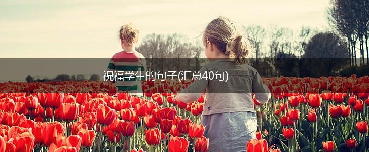 祝福学生的句子(汇总40句),第1张