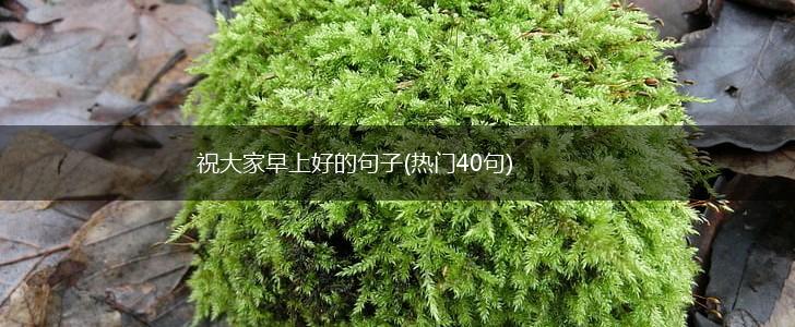 祝大家早上好的句子(热门40句),第1张
