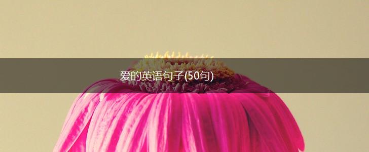 爱的英语句子(50句),第1张