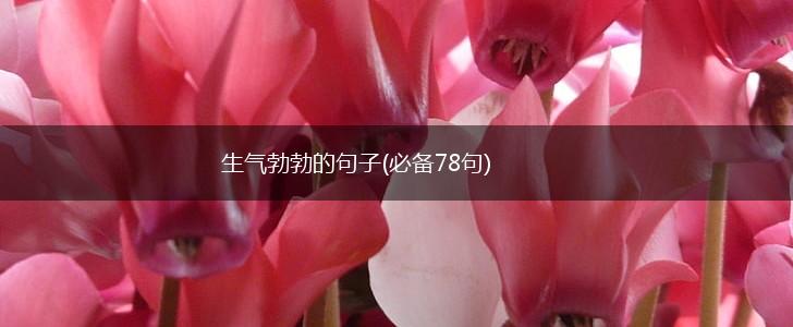 生气勃勃的句子(必备78句),第1张