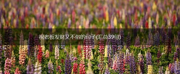 祝老板发财又不俗的句子(汇总39句),第1张