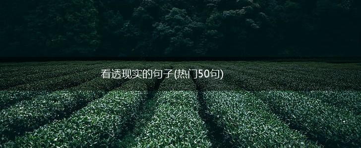 看透现实的句子(热门50句),第1张