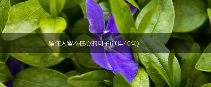 留住人留不住心的句子(通用40句),第1张