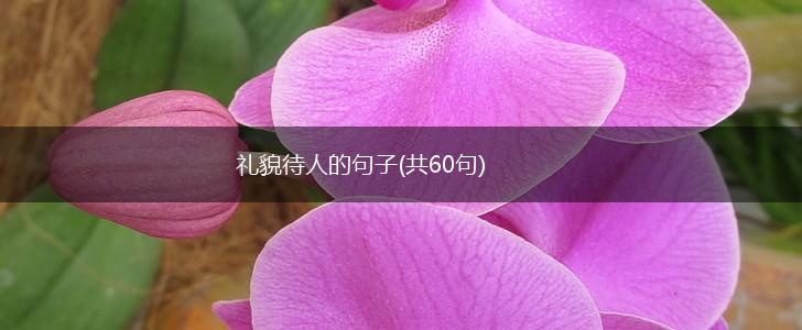 礼貌待人的句子(共60句),第1张
