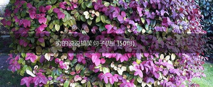 穷的说说搞笑句子(热门50句),第1张