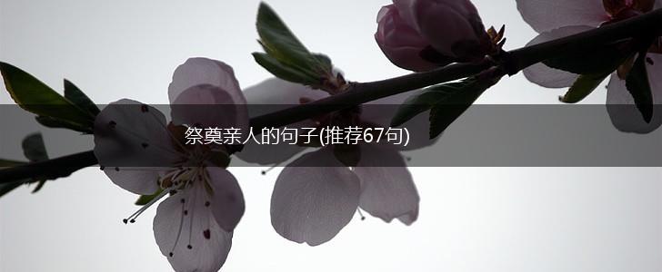 祭奠亲人的句子(推荐67句),第1张