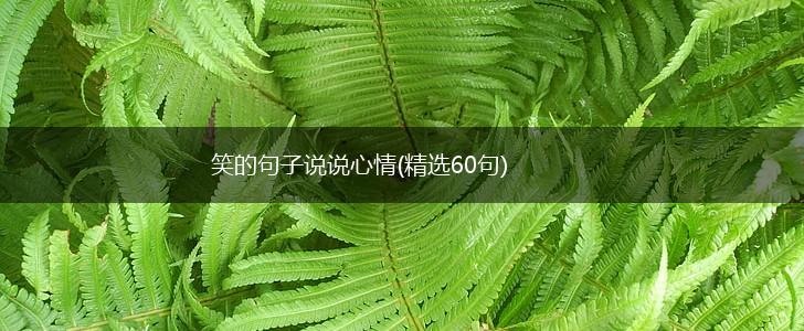 笑的句子说说心情(精选60句),第1张