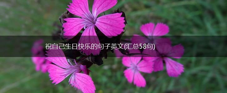 祝自己生日快乐的句子英文(汇总58句),第1张