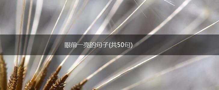 眼前一亮的句子(共50句),第1张