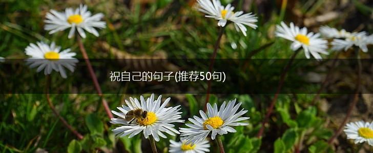 祝自己的句子(推荐50句),第1张