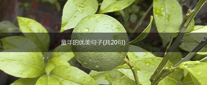 童年的优美句子(共20句),第1张