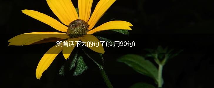 笑着活下去的句子(实用90句),第1张