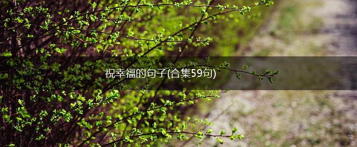 祝幸福的句子(合集59句),第1张
