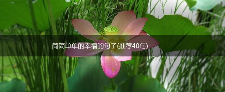 简简单单的幸福的句子(推荐40句),第1张