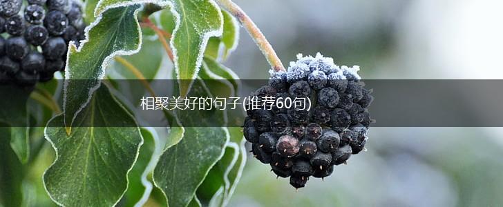 相聚美好的句子(推荐60句),第1张