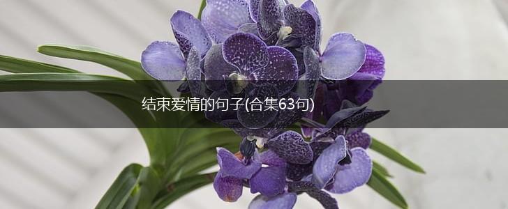 结束爱情的句子(合集63句),第1张