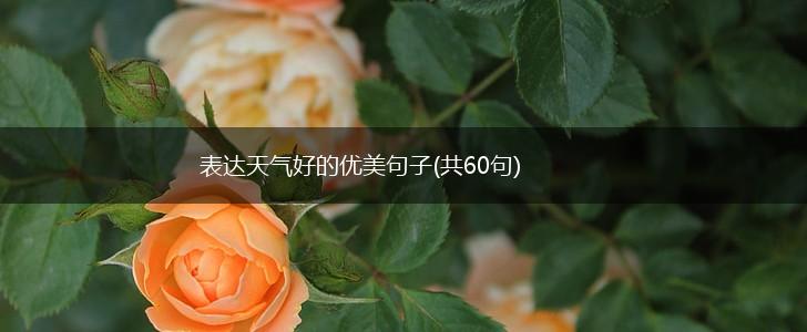 表达天气好的优美句子(共60句),第1张