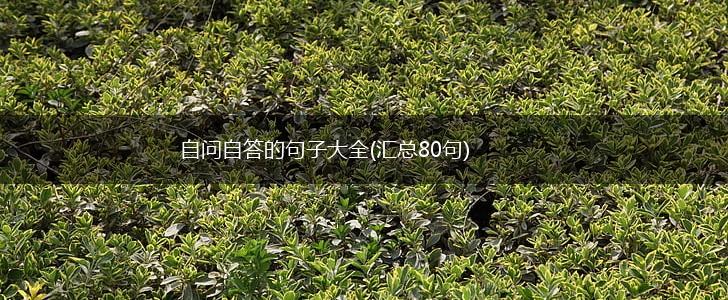 自问自答的句子大全(汇总80句),第1张