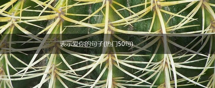 表示爱你的句子(热门50句),第1张