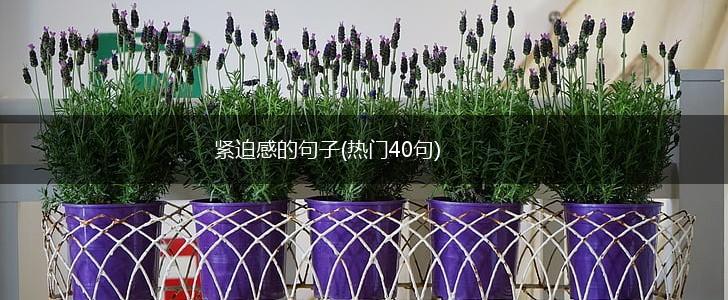 紧迫感的句子(热门40句),第1张