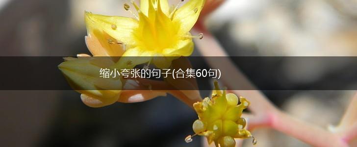 缩小夸张的句子(合集60句),第1张
