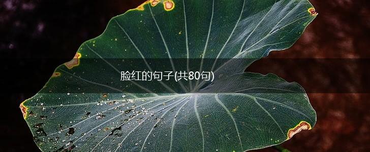 脸红的句子(共80句),第1张