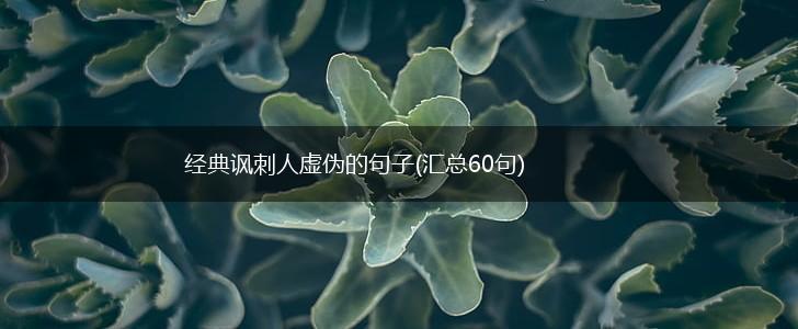 经典讽刺人虚伪的句子(汇总60句),第1张