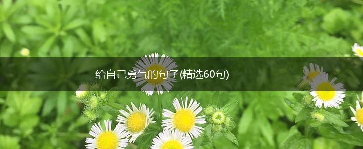 给自己勇气的句子(精选60句),第1张