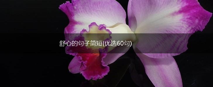 舒心的句子简短(优选60句),第1张