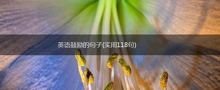 英语鼓励的句子(实用118句),第1张