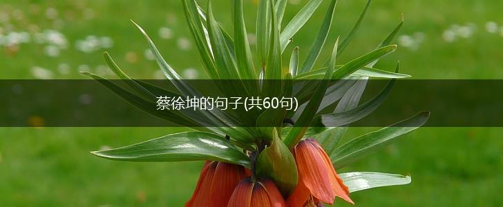 蔡徐坤的句子(共60句),第1张