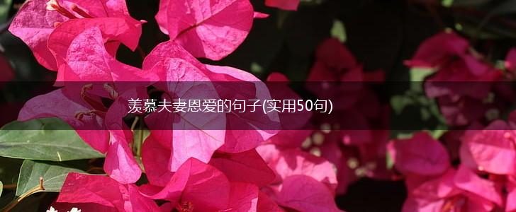 羡慕夫妻恩爱的句子(实用50句),第1张