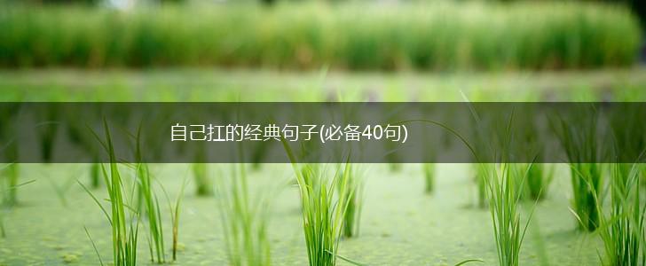 自己扛的经典句子(必备40句),第1张
