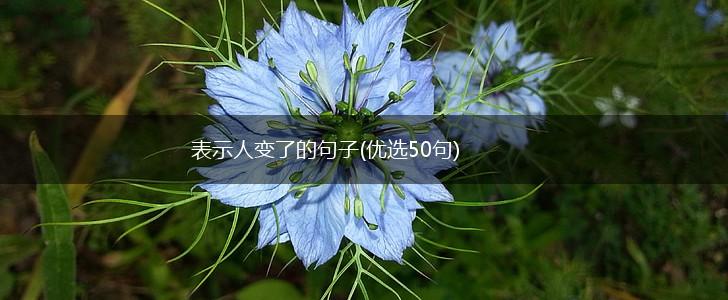 表示人变了的句子(优选50句),第1张