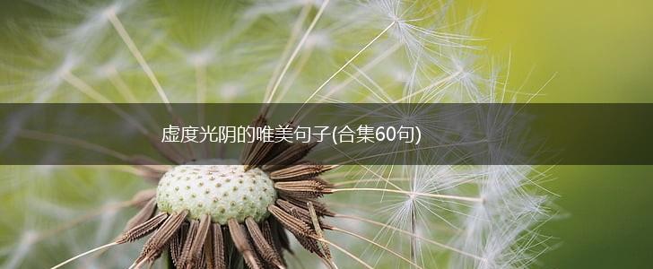 虚度光阴的唯美句子(合集60句),第1张
