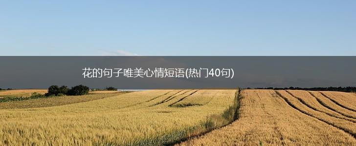 花的句子唯美心情短语(热门40句),第1张